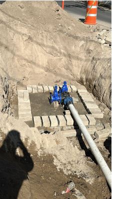 Imagen del proyecto