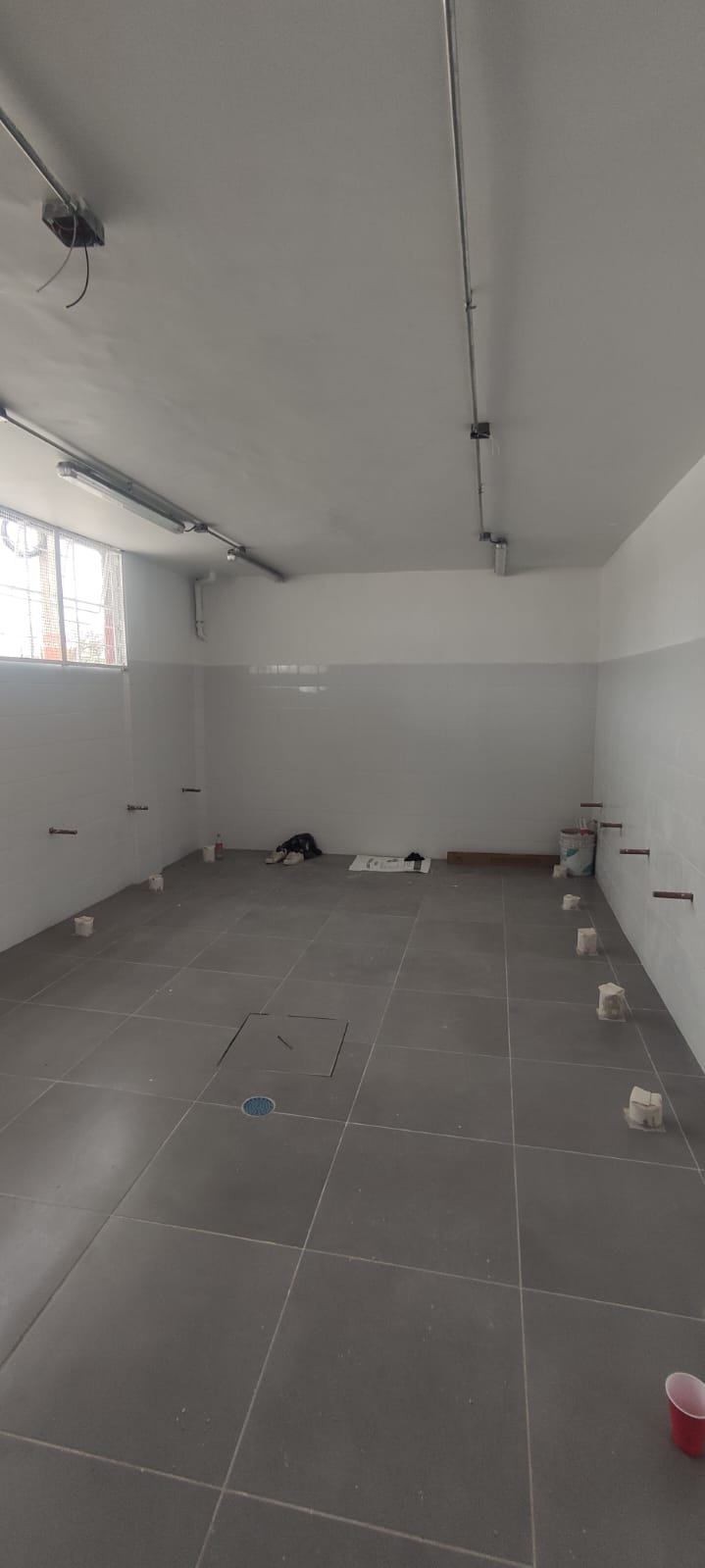 Imagen del proyecto