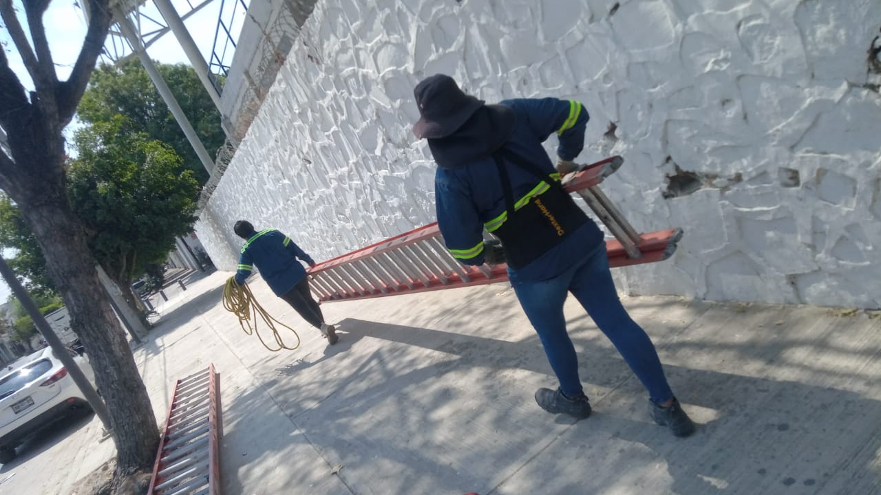 Imagen del proyecto