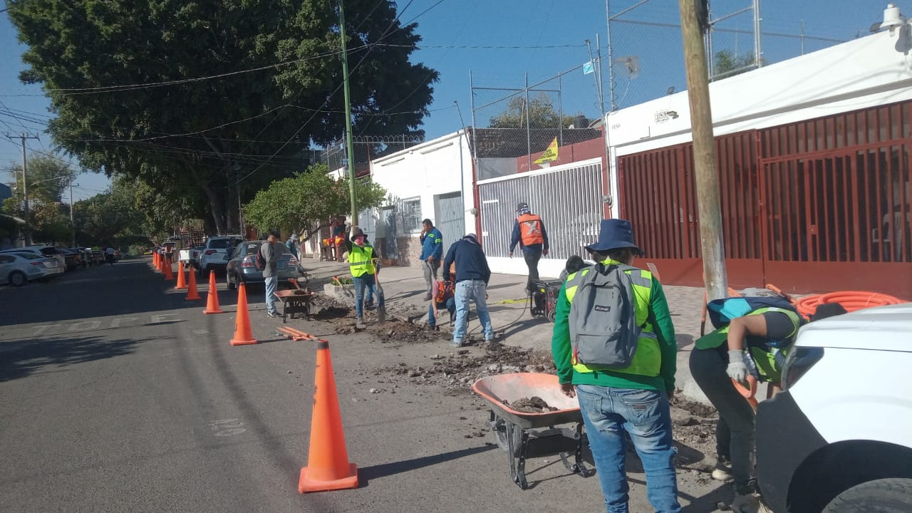 Imagen del proyecto