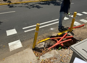 Imagen del proyecto