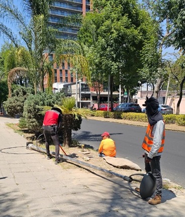 Imagen del proyecto