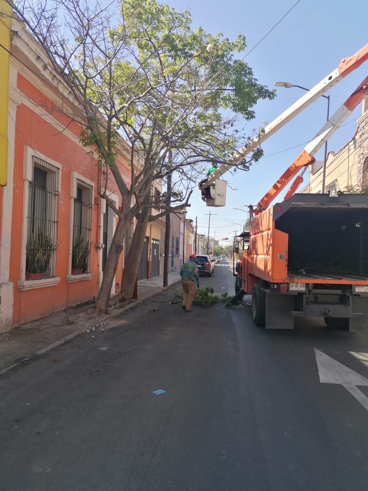Imagen del proyecto