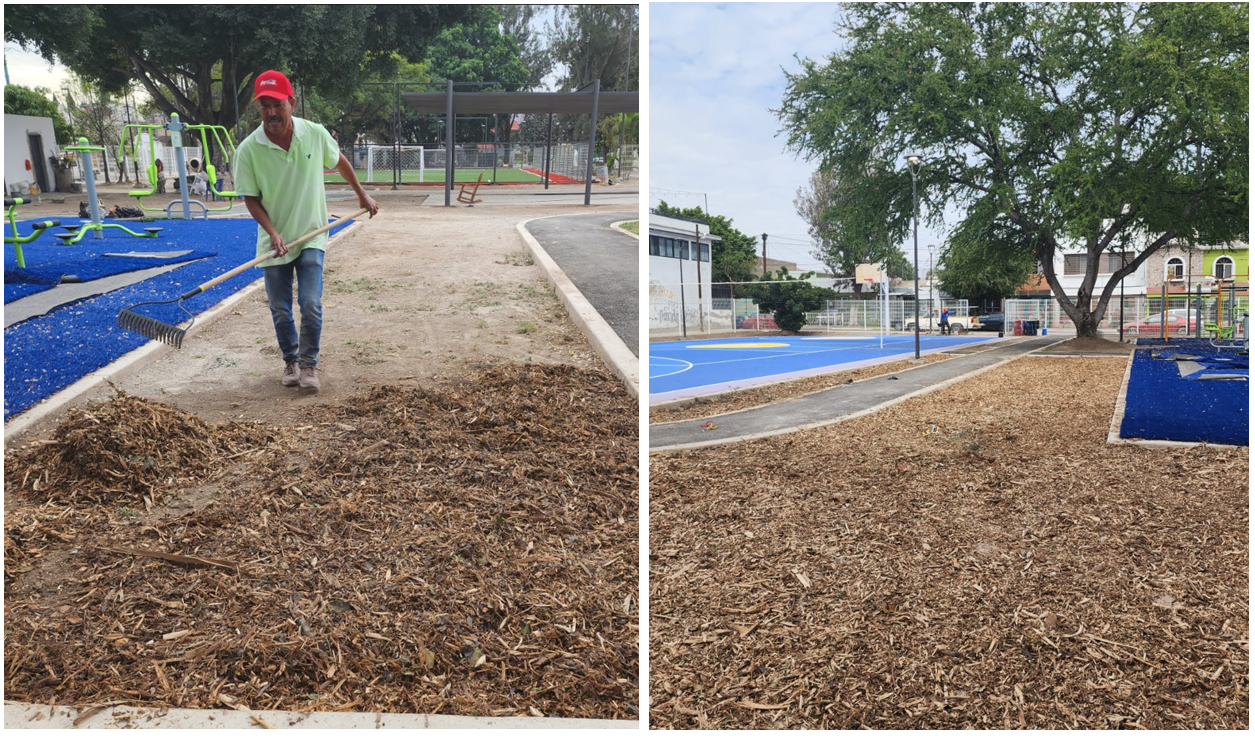 Imagen del proyecto