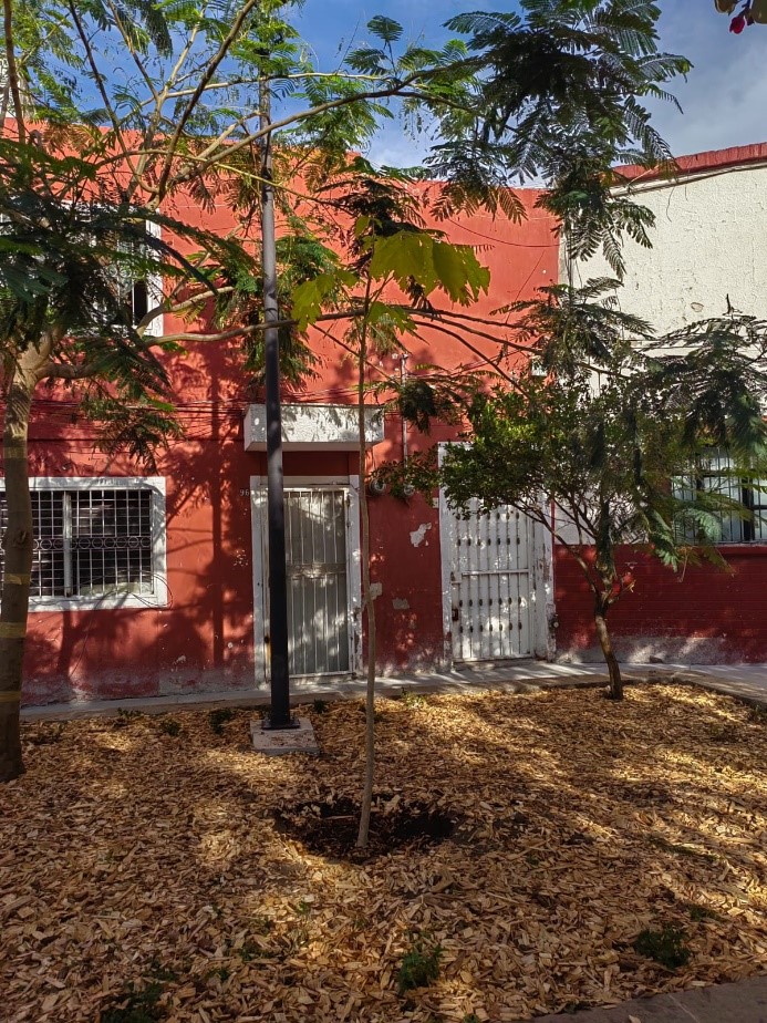 Imagen del proyecto
