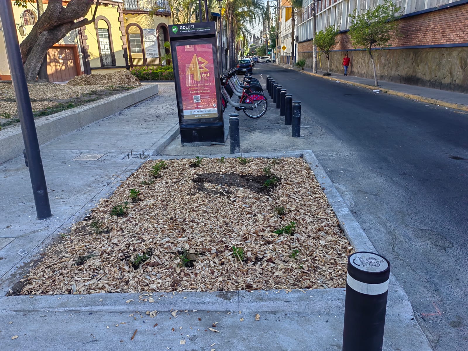 Imagen del proyecto