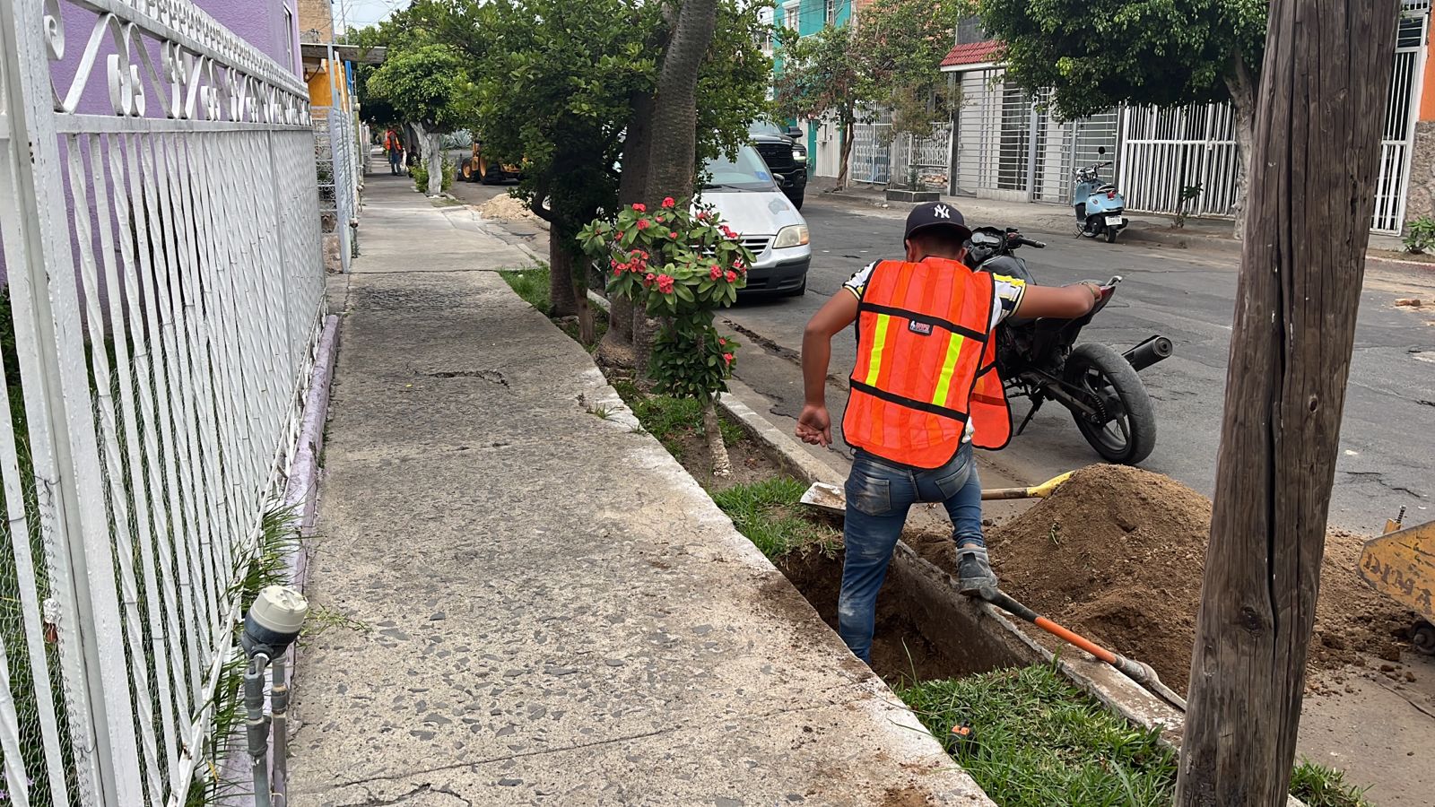 Imagen del proyecto