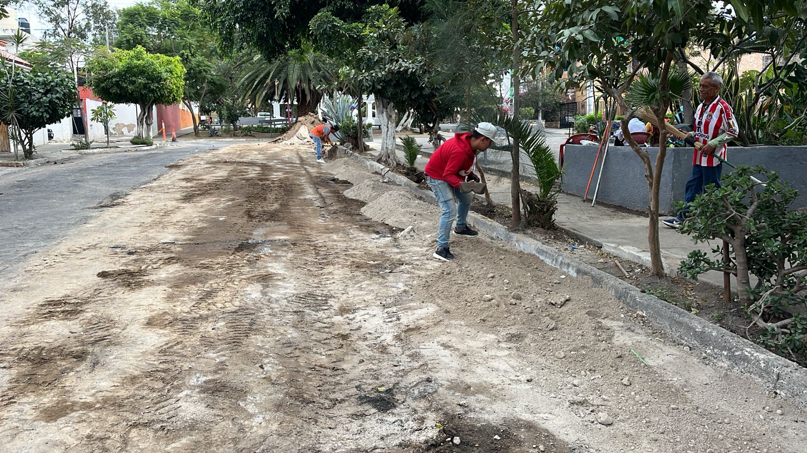 Imagen del proyecto