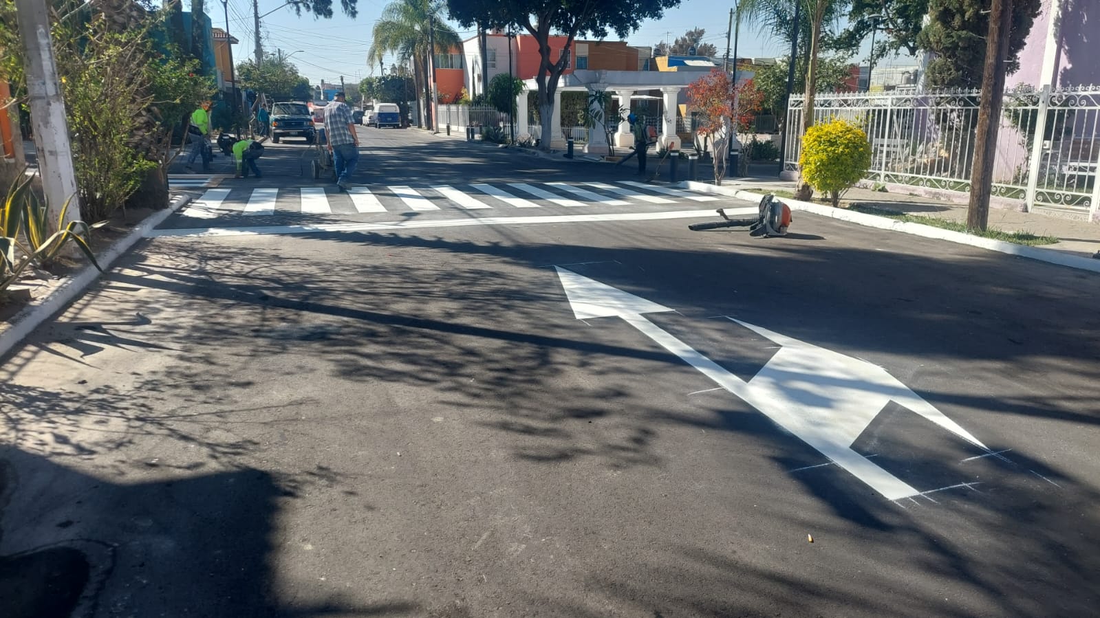 Imagen del Proyecto