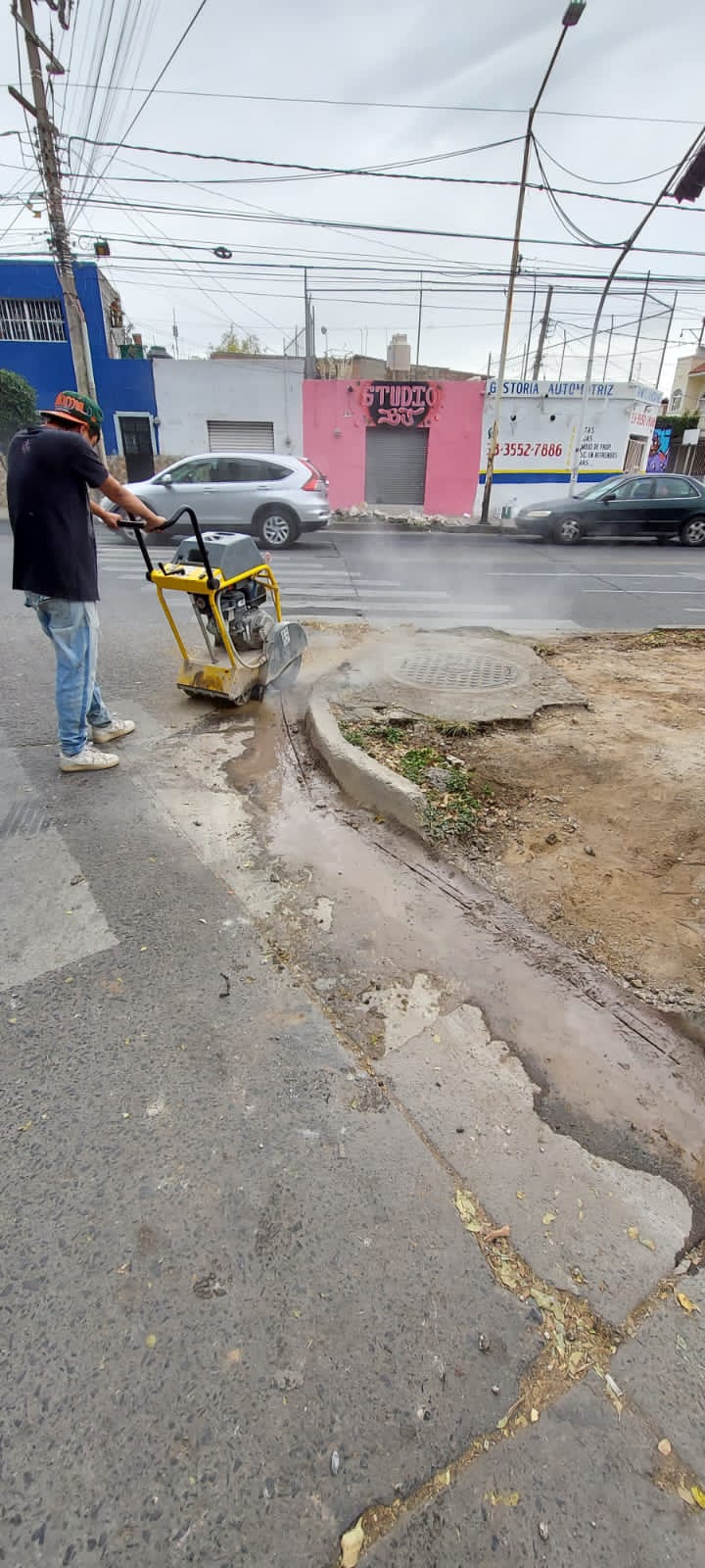 Imagen del proyecto