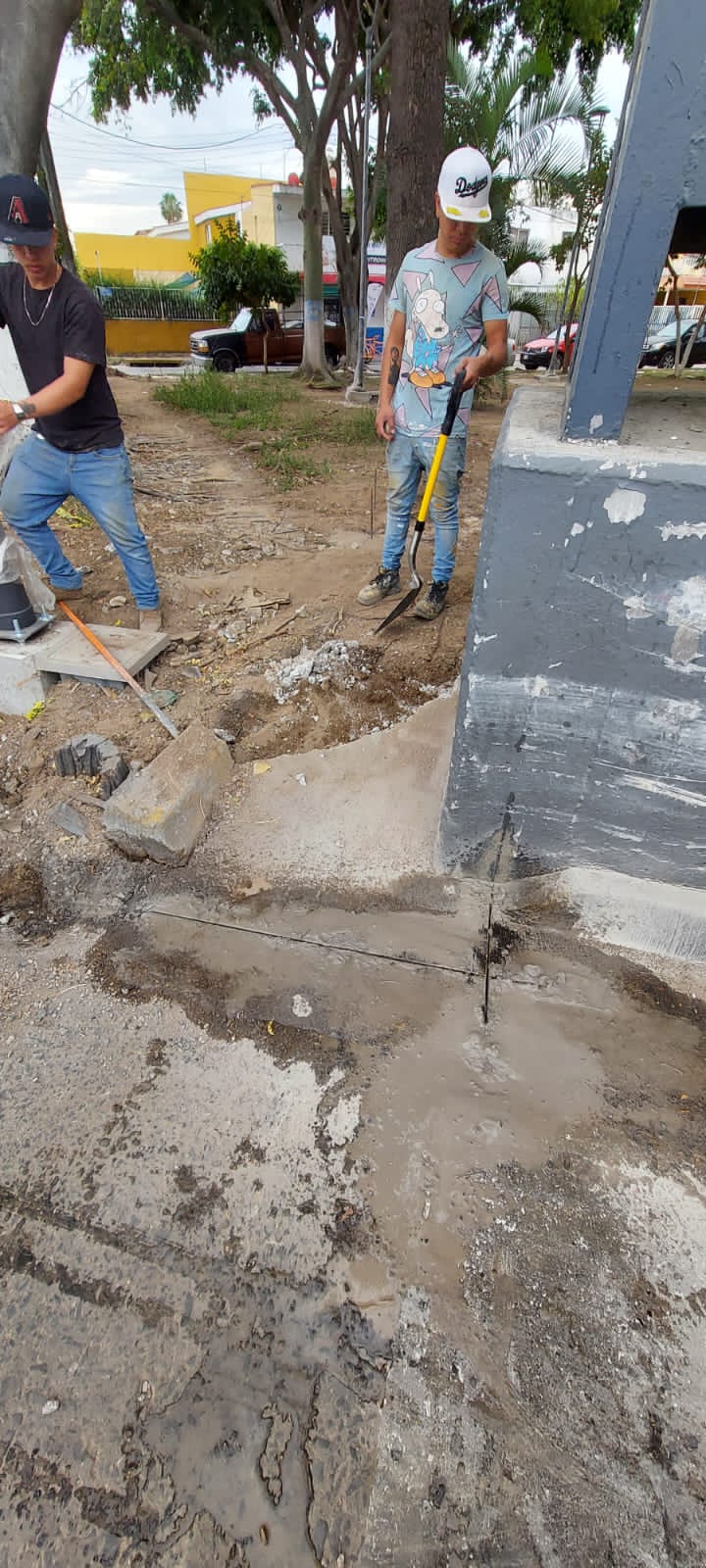 Imagen del proyecto
