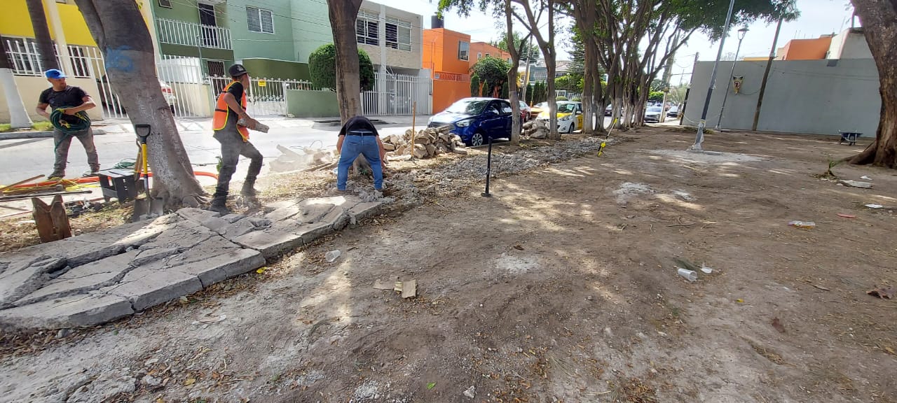 Imagen del proyecto