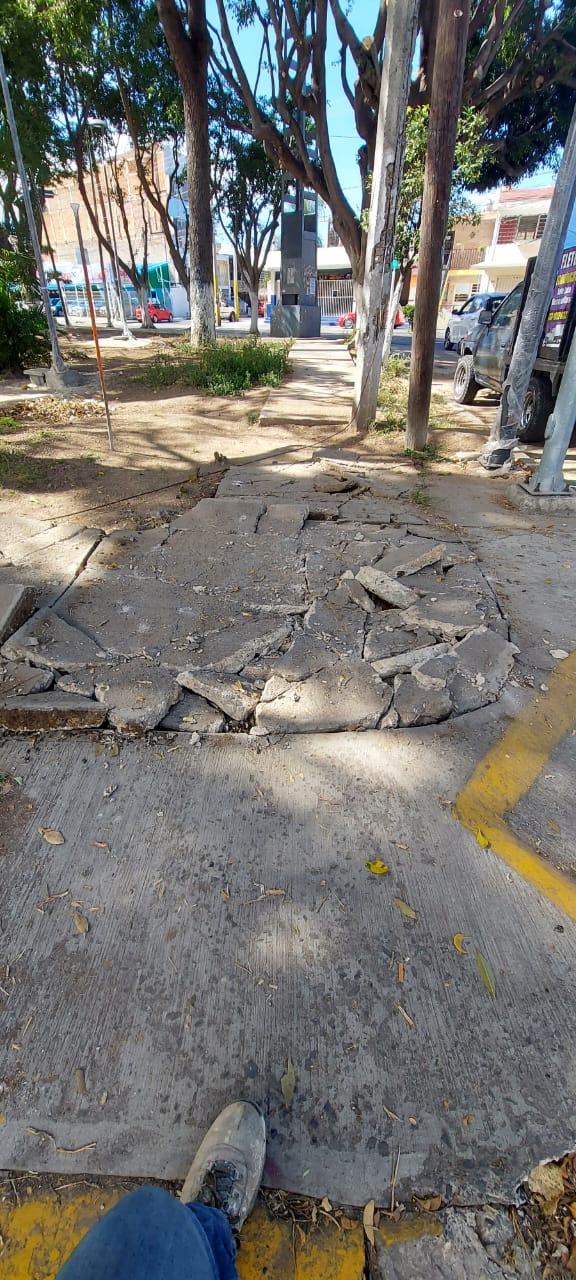 Imagen del proyecto