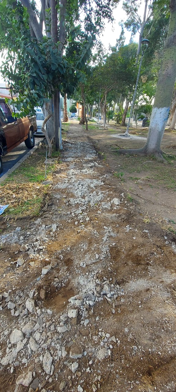 Imagen del proyecto