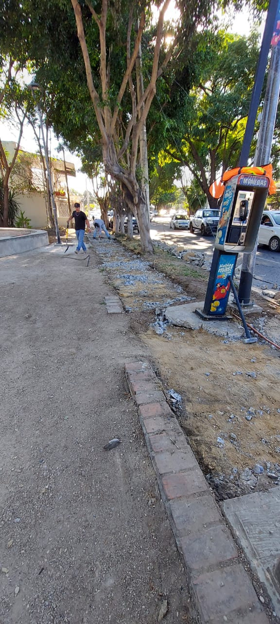 Imagen del proyecto