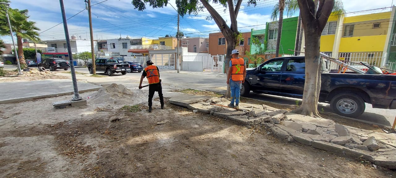 Imagen del proyecto