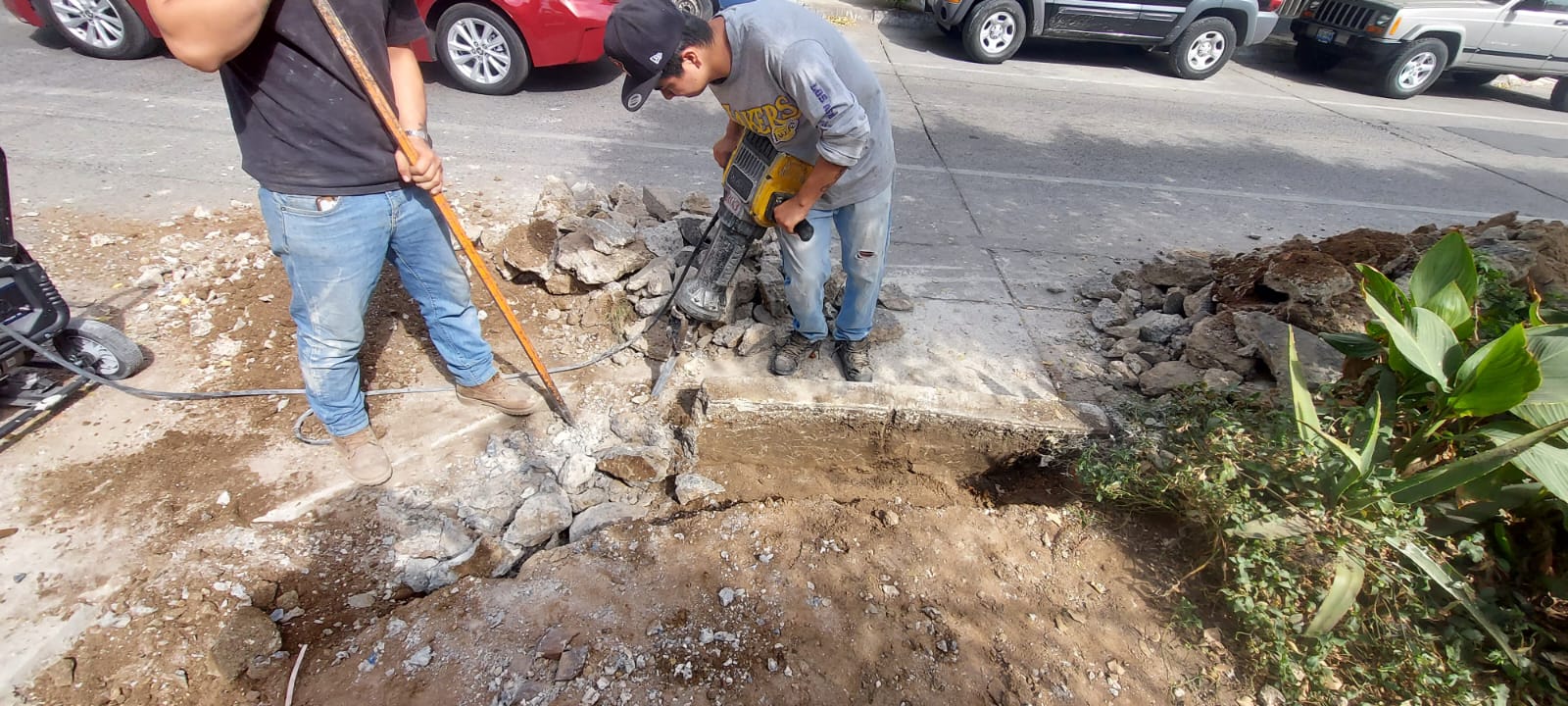 Imagen del proyecto
