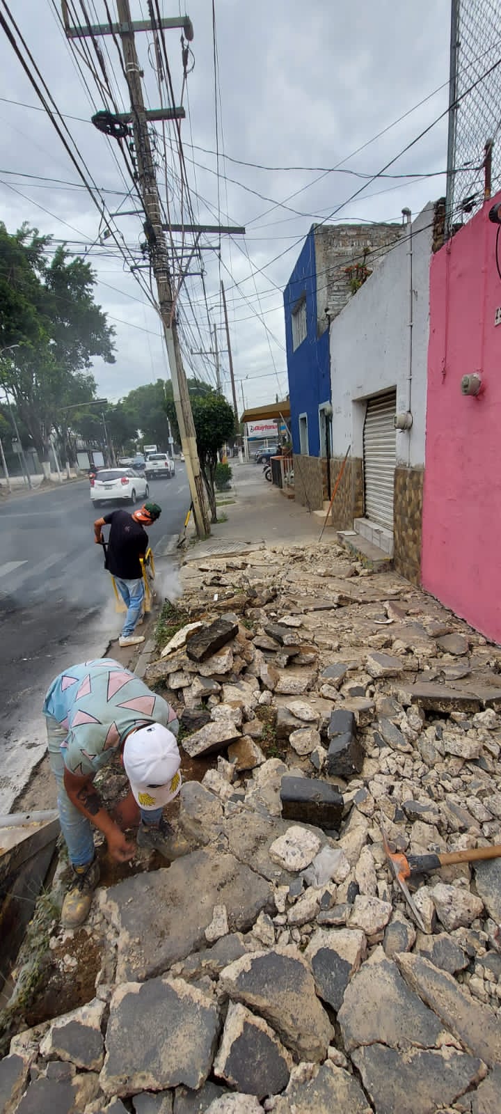 Imagen del proyecto