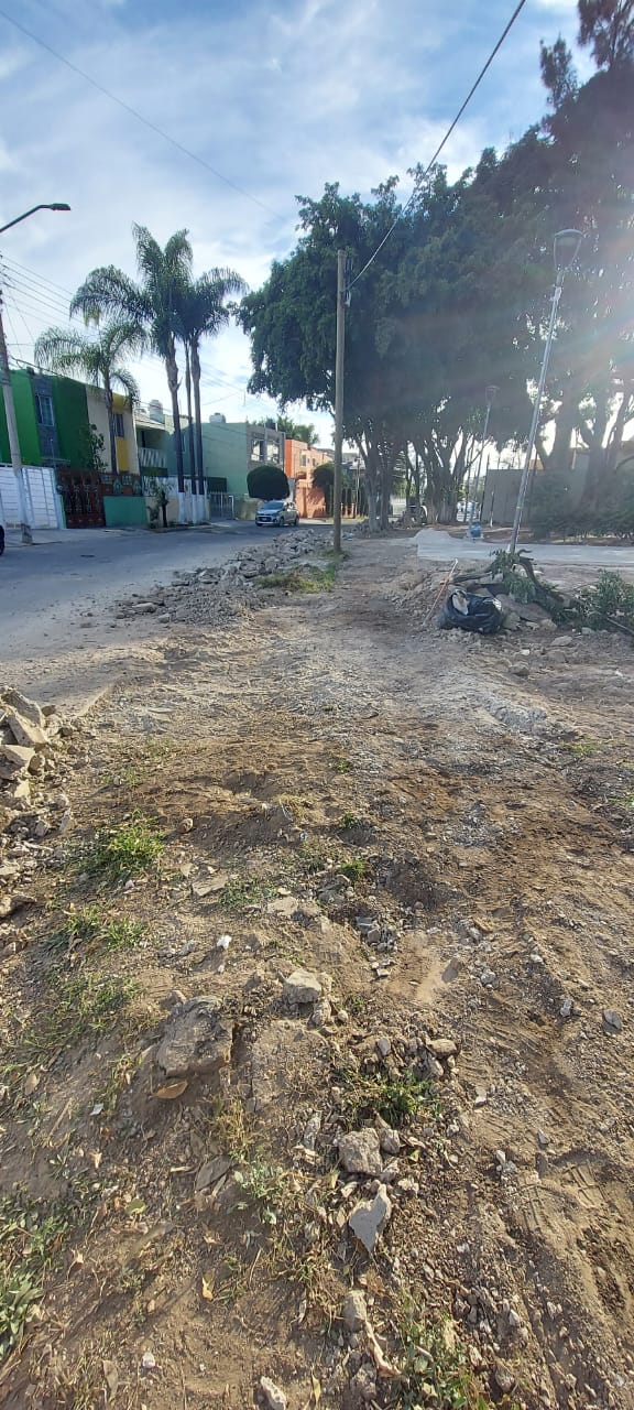 Imagen del proyecto