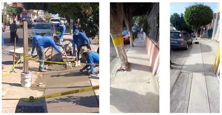 Imagen del proyecto