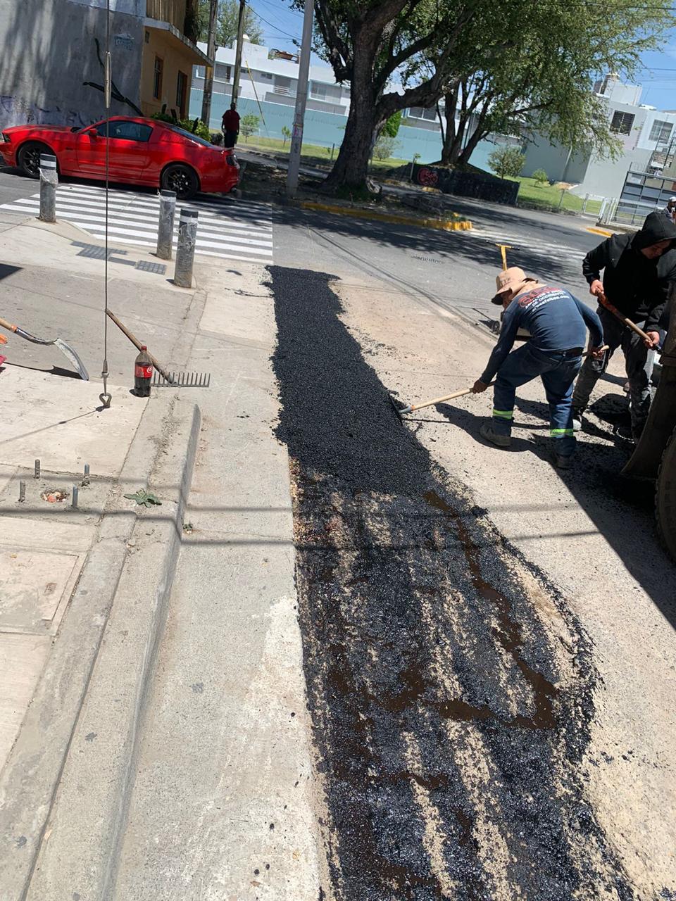 Imagen del proyecto