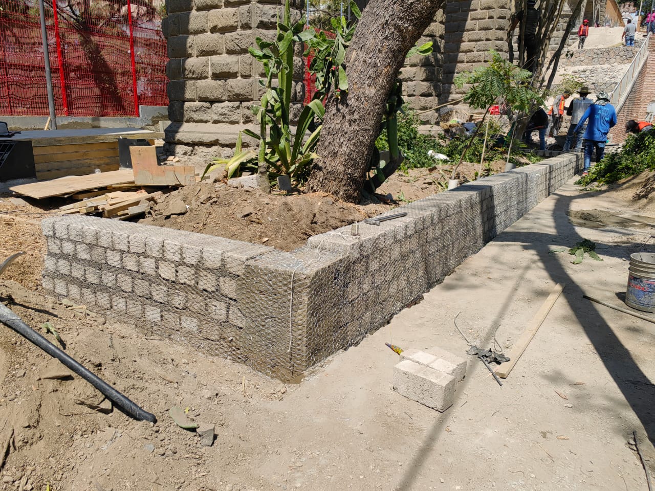 Imagen del proyecto