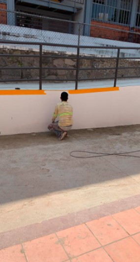 Imagen del Proyecto