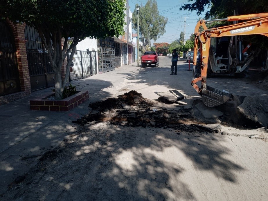 Imagen del proyecto