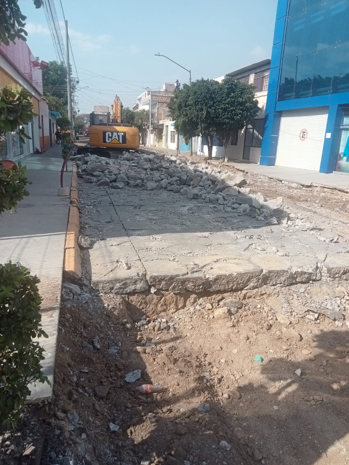 Imagen del proyecto