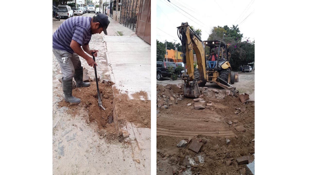 Imagen del proyecto