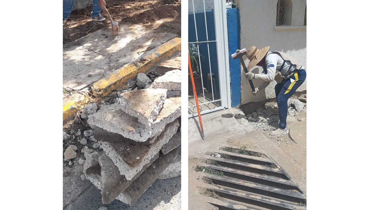 Imagen del proyecto
