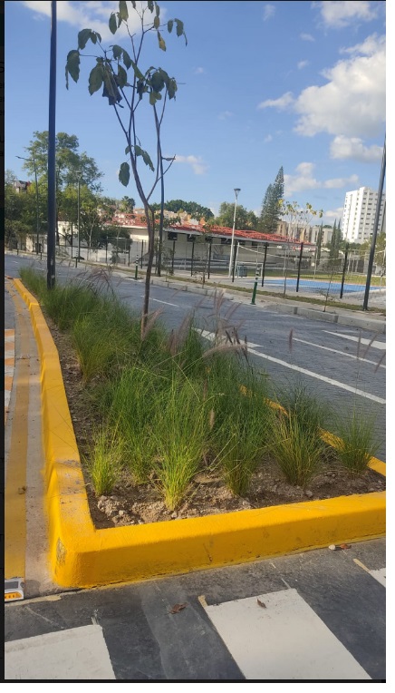 Imagen del proyecto