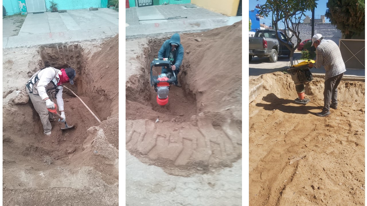 Imagen del proyecto