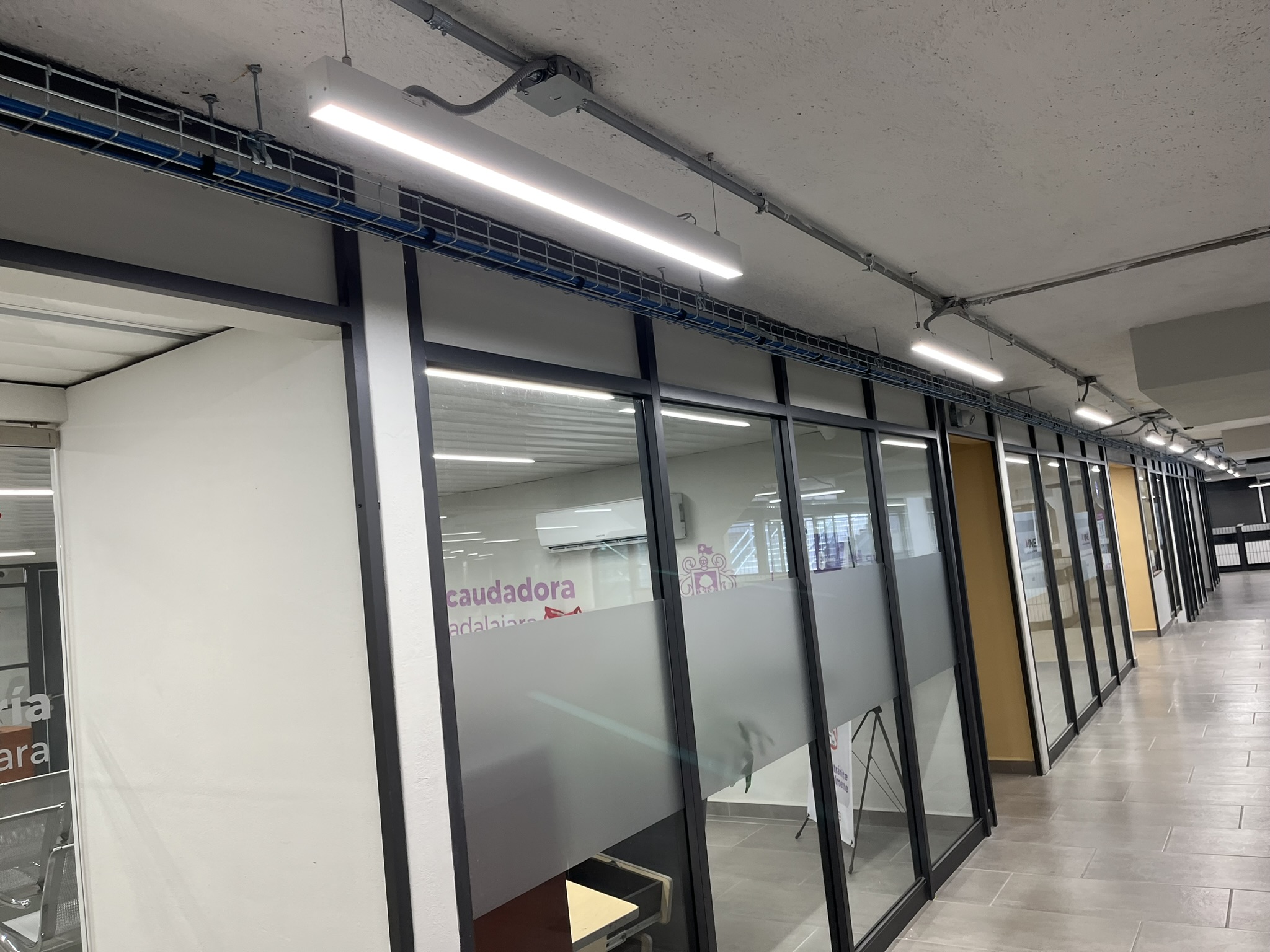 Imagen del Proyecto