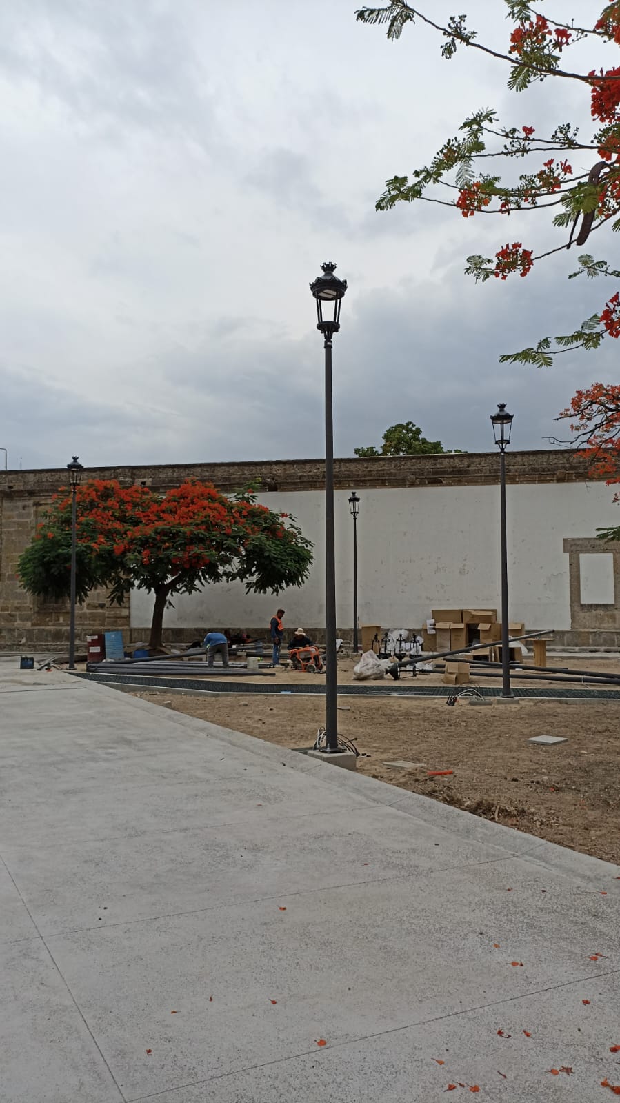 Imagen del proyecto