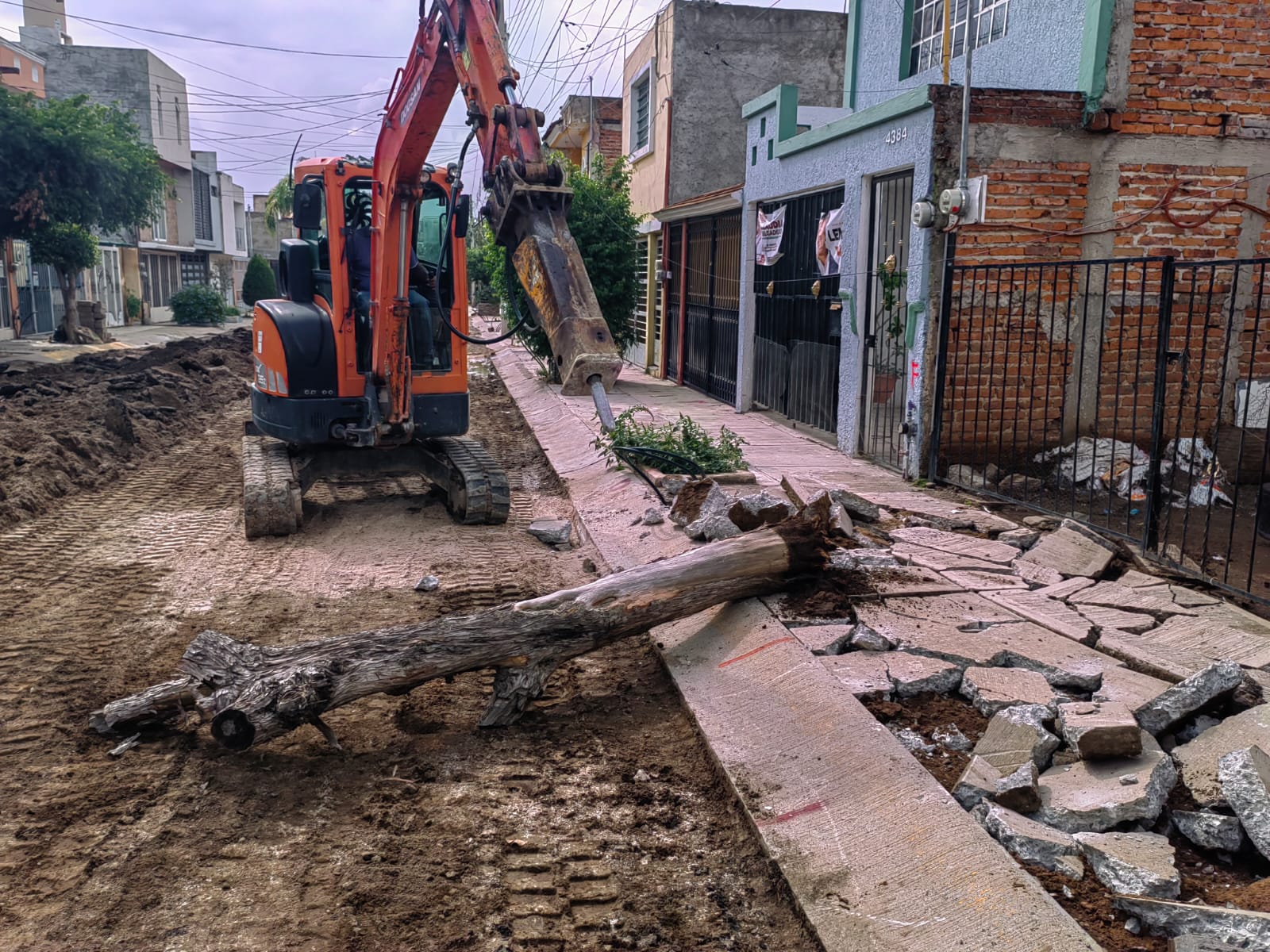 Imagen del proyecto