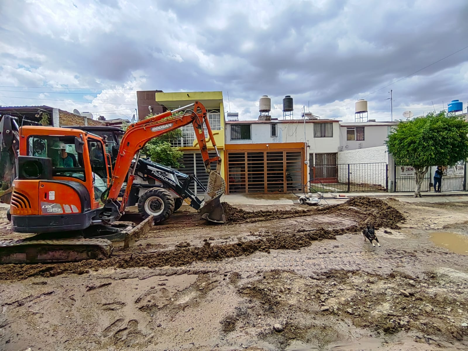 Imagen del proyecto