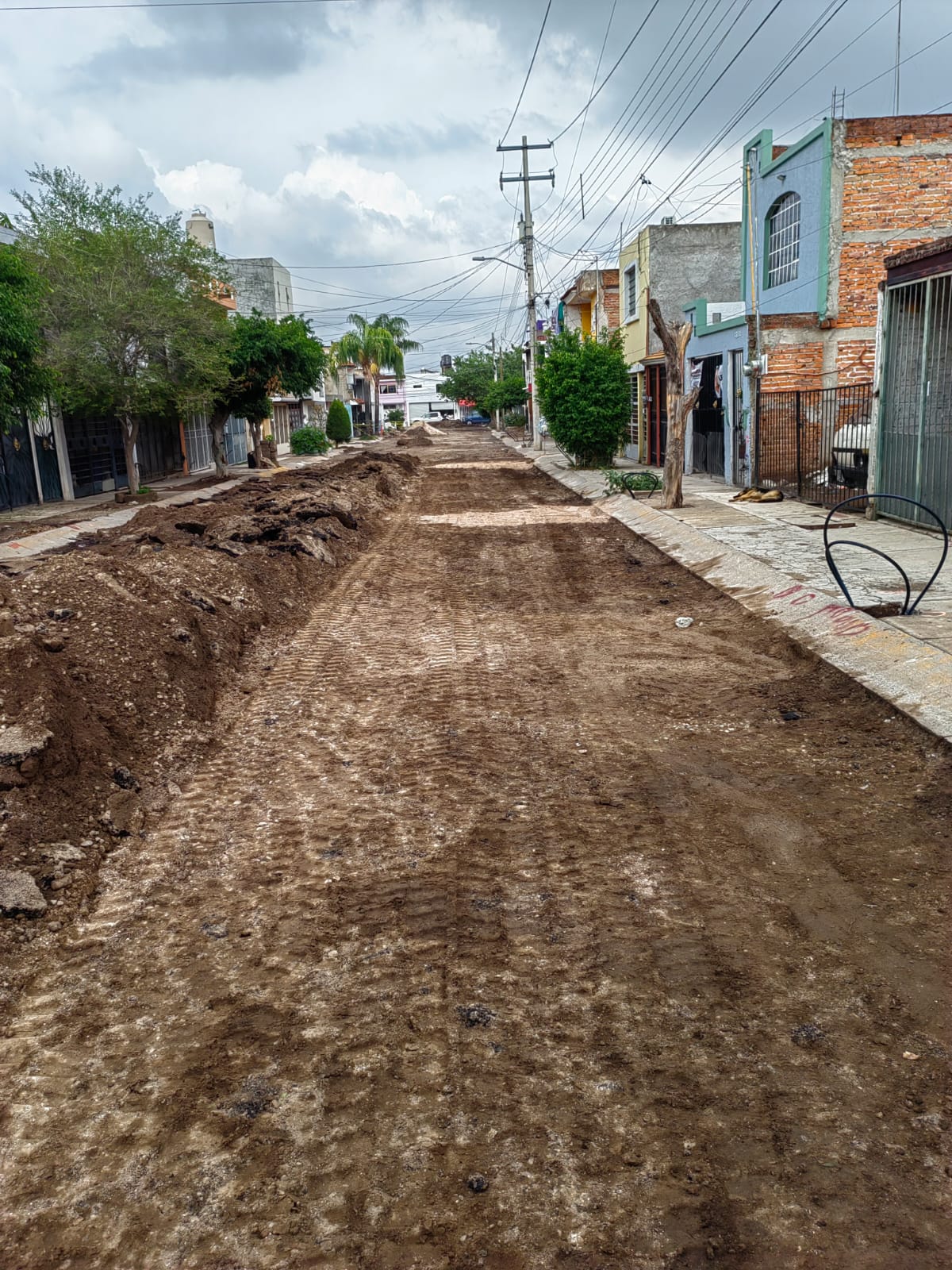 Imagen del proyecto