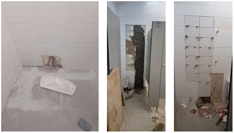 Imagen del proyecto
