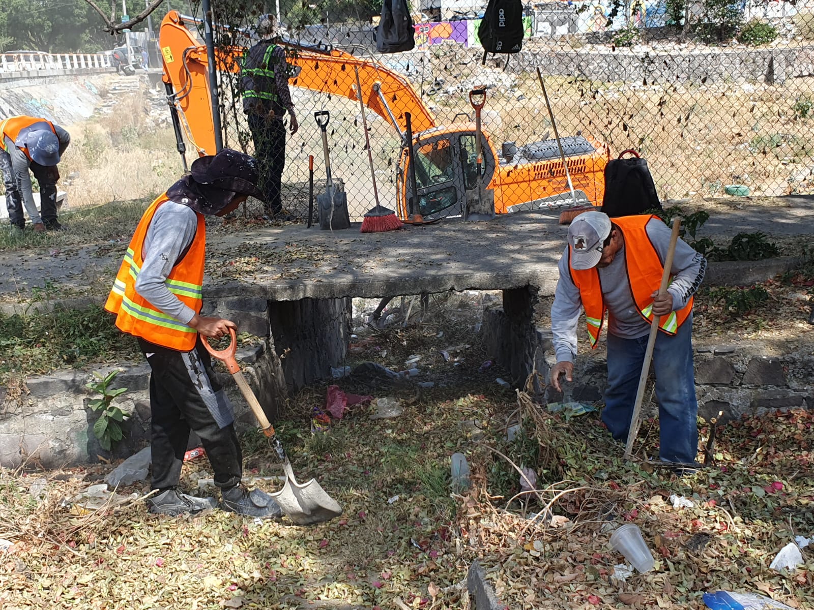 Imagen del proyecto