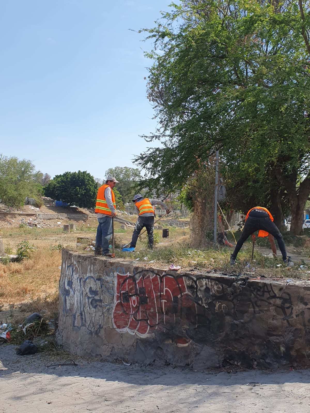Imagen del proyecto