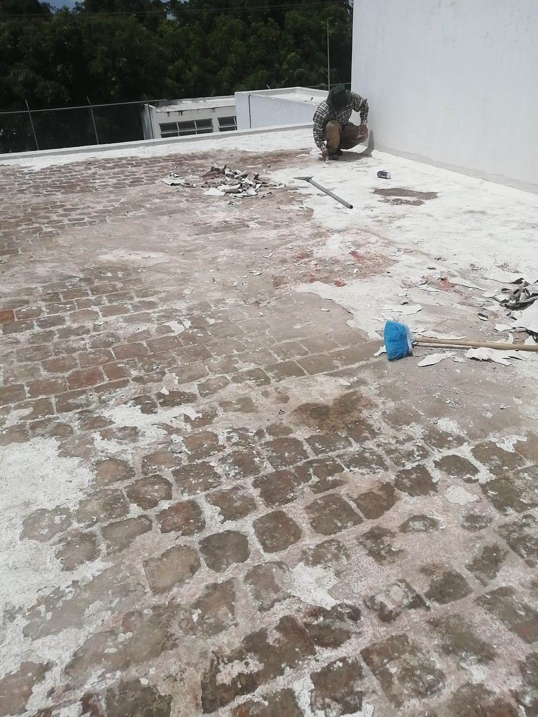 Imagen del proyecto