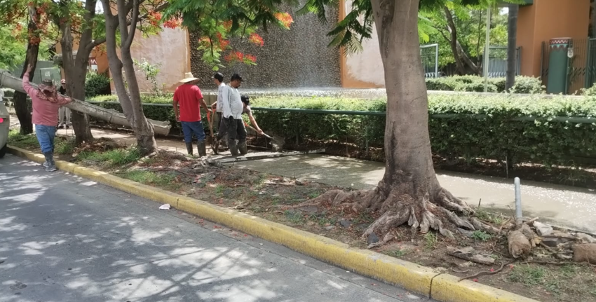 Imagen del proyecto