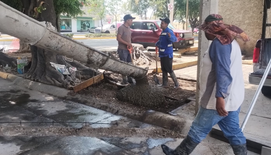 Imagen del proyecto