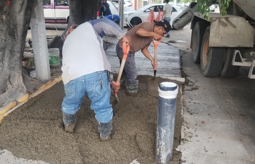 Imagen del proyecto