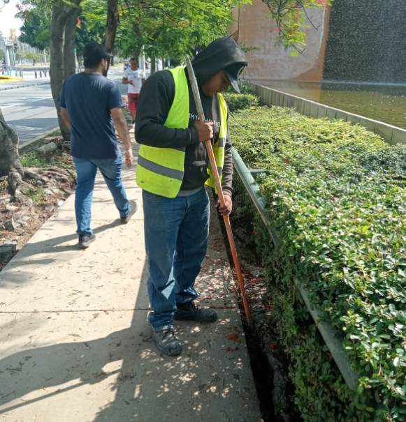 Imagen del proyecto