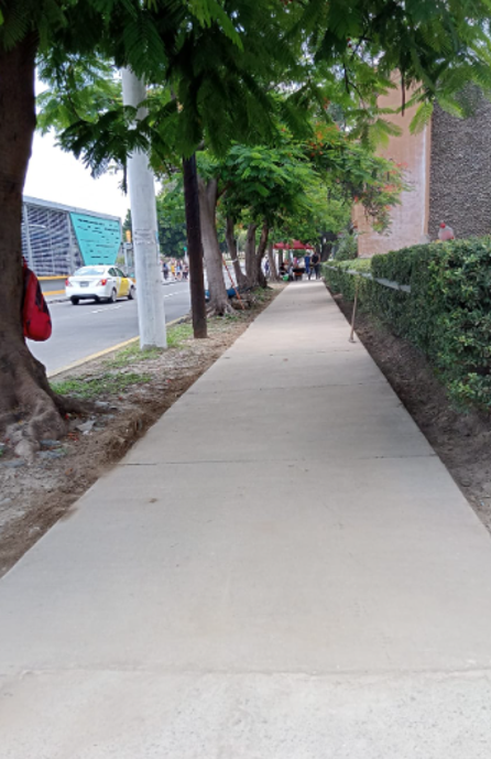 Imagen del proyecto