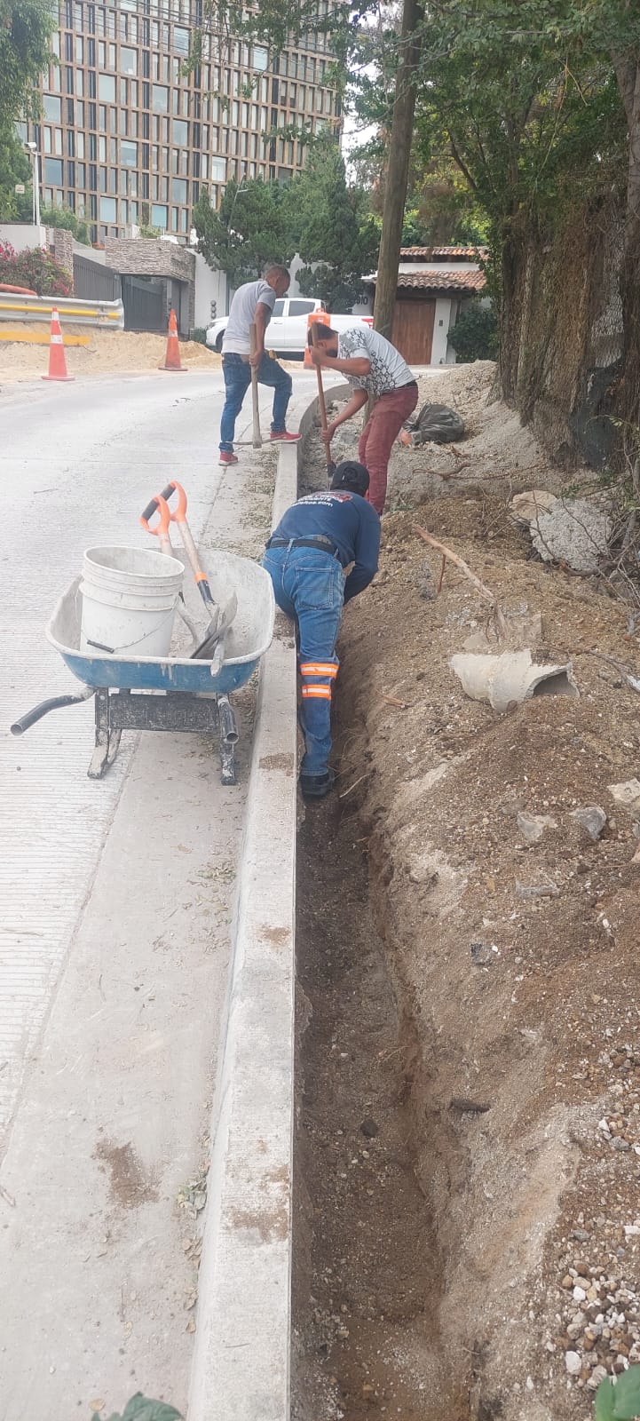 Imagen del proyecto