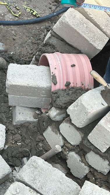 Imagen del proyecto