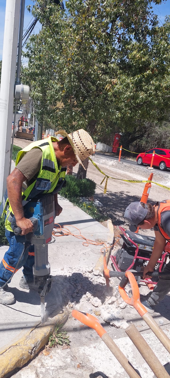 Imagen del proyecto
